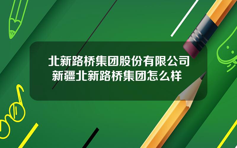 北新路桥集团股份有限公司 新疆北新路桥集团怎么样